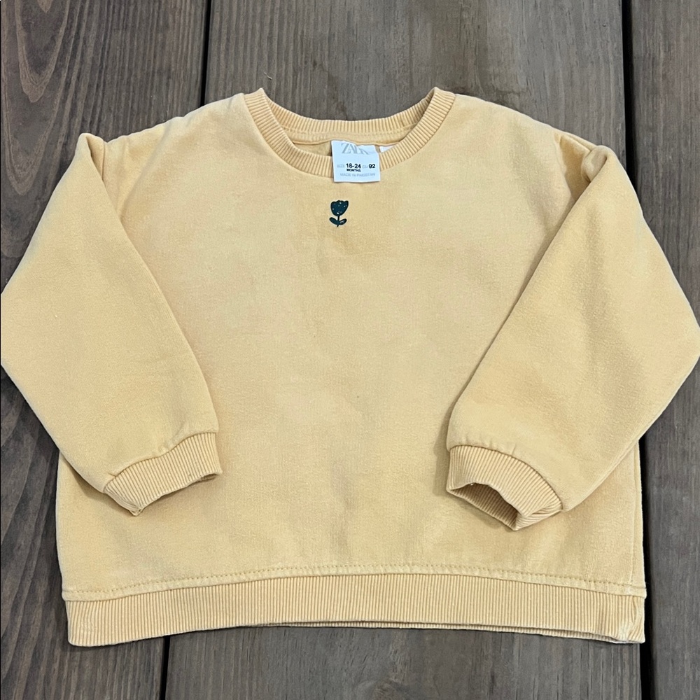 Zara Kids Cream Sweatshirt with Embroidered Detail